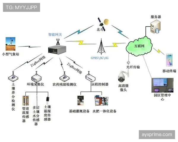 耳机裁判系统如何改变VAR判罚效率与沟通误区解析