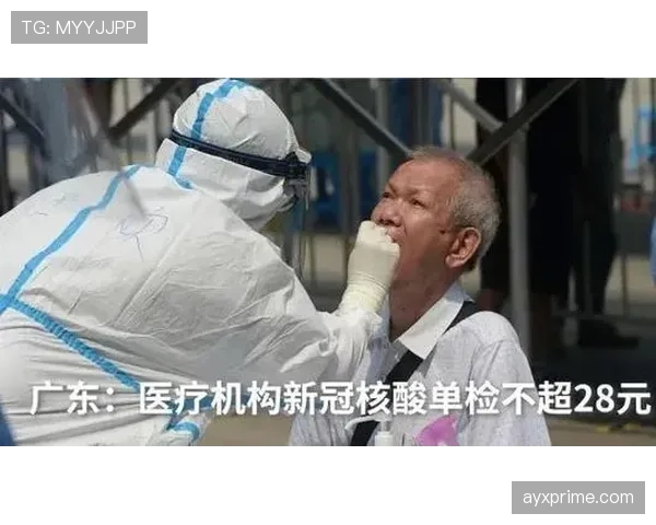 队医入场算不算违规？规则拆解医疗暂停与比赛干扰界限